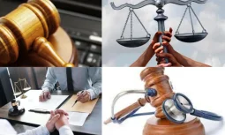Limited Şirketler Hukuku Nedir?