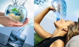 Suyun İnsan Sağlığı İçin Önemi