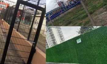 Panel Çit Rengi ve Kaplama Türü Performansı Nasıl Etkiler?