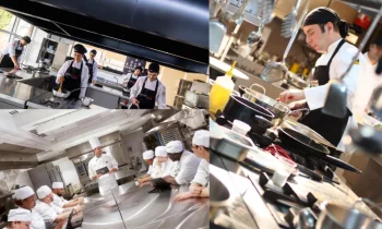 Hygiene Standards and Legal Infrastructure of the Gastronomy Sector within the Framework of Chef Certification