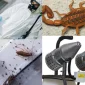 Böcek İlacı ve Tarım Sektöründe Kullanımı