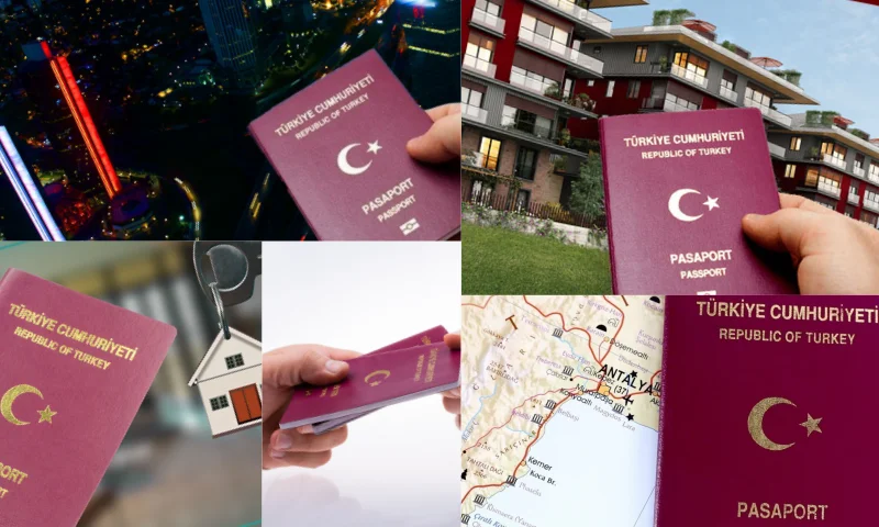 Turkish Citizenship By İnvestment Nasıl Olur?